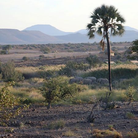 Palmwag Campsite Eksteriør billede