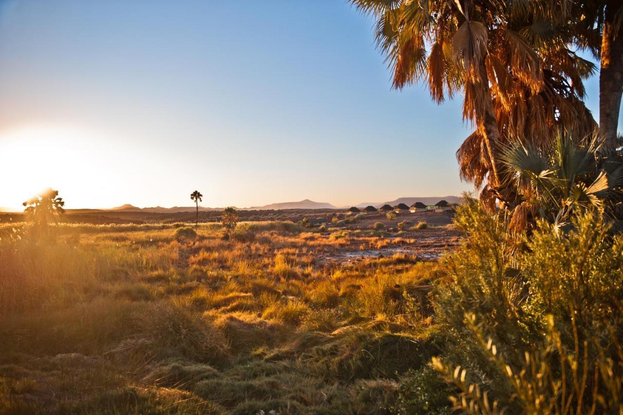 Palmwag Campsite Eksteriør billede