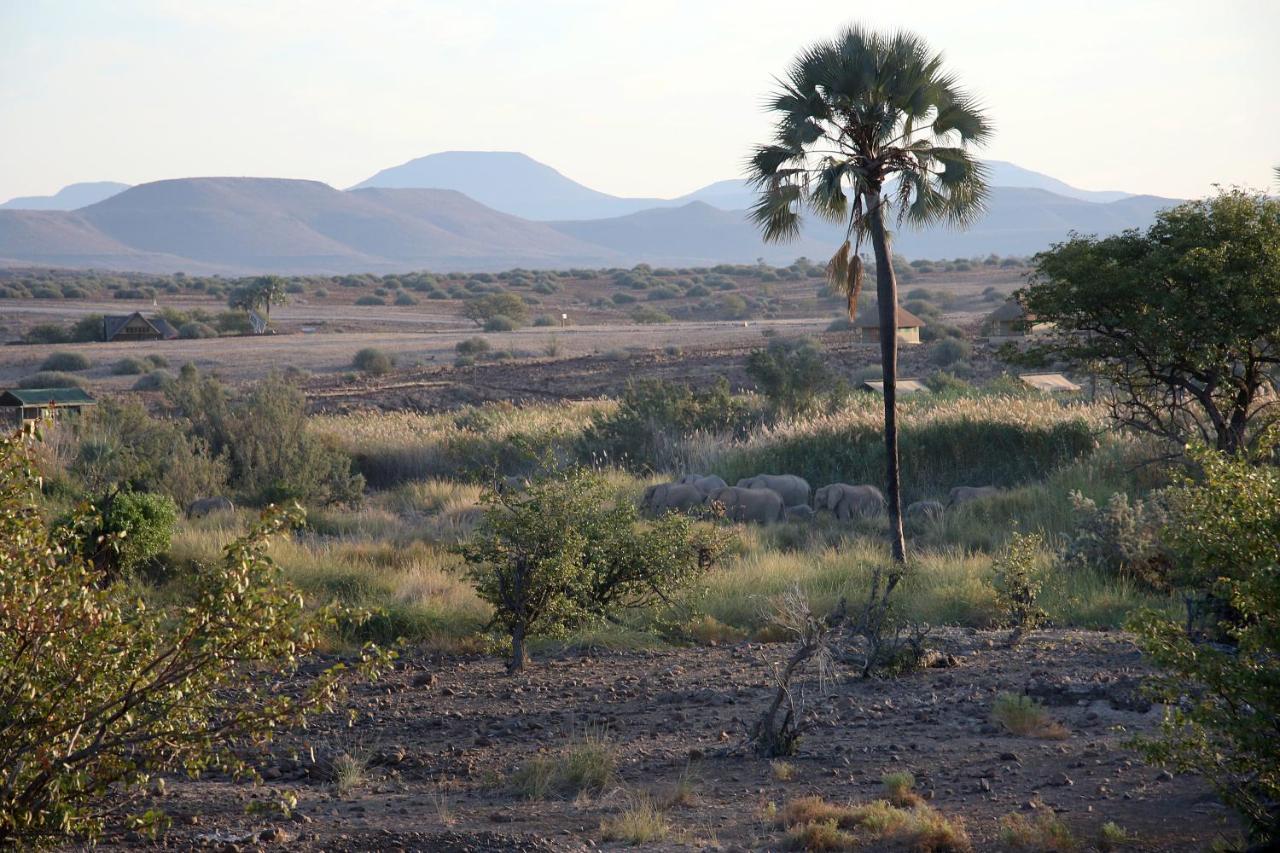 Palmwag Campsite Eksteriør billede